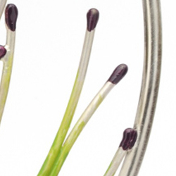 rcdt AURORE SUR LES DUNES pendentif sur chaie argent laque a froid 2009 Patricia Lemaire photo Ecliptique