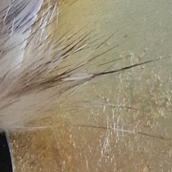 MEMENTO-MORI-1-sculpture-murale-2015-Patricia-Lemaire