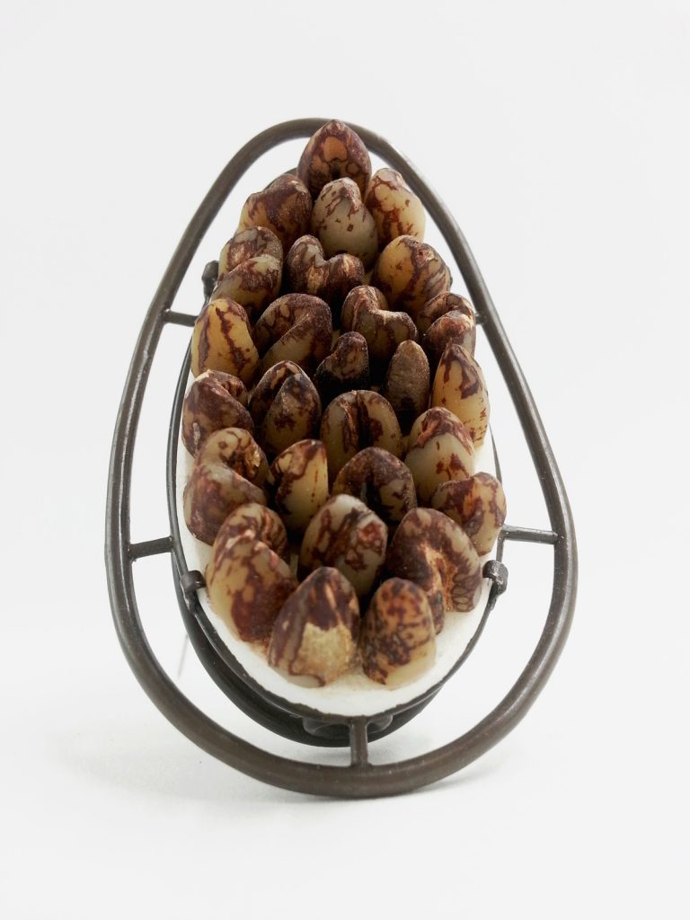 MES CURIOSITES évènement en novembre 2017